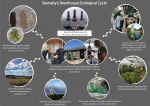 Barnaby's Brewhouse ecological cycle